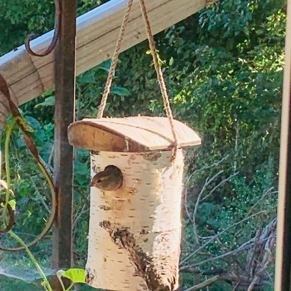 Meet your Posher, Terri lynn - Picture 14 of 16